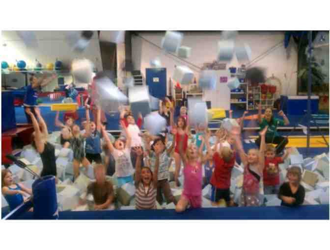 Amazing Gymnastics Birthday Party