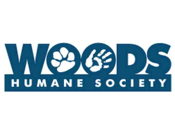 Party with the Pets!