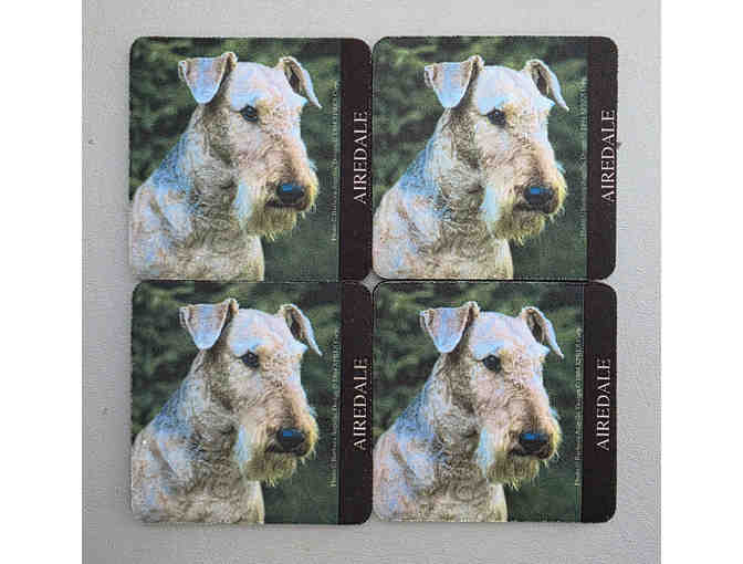 Set of (4) Airedale Coasters - Photo 1
