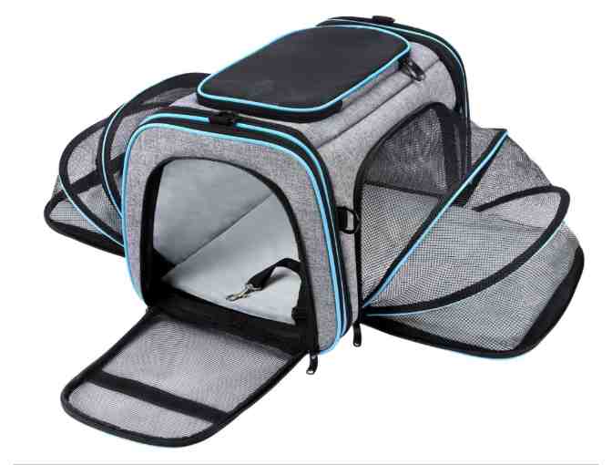 Airline Approved Pet Carrier