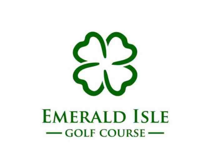 Emerald Isle Golf Course Choice of One-Hour Swing Assessment or Custom CLub Fitting - Photo 1