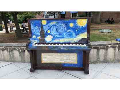 Spiotta Park - Marie Elena Glynn - Starry Night