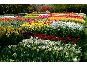 Longwood Gardens - 2 Tickets