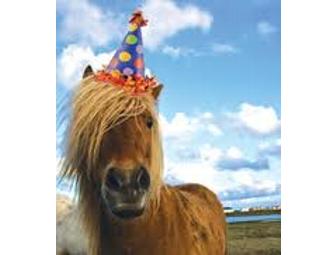 Birthday Party Pony Ride