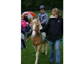 Birthday Party Pony Ride