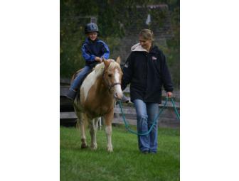 Birthday Party Pony Ride