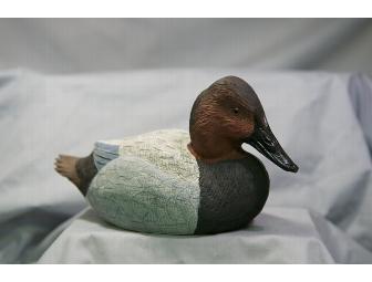 Hand Carved Canvasback Drake