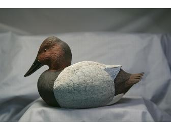 Hand Carved Canvasback Drake
