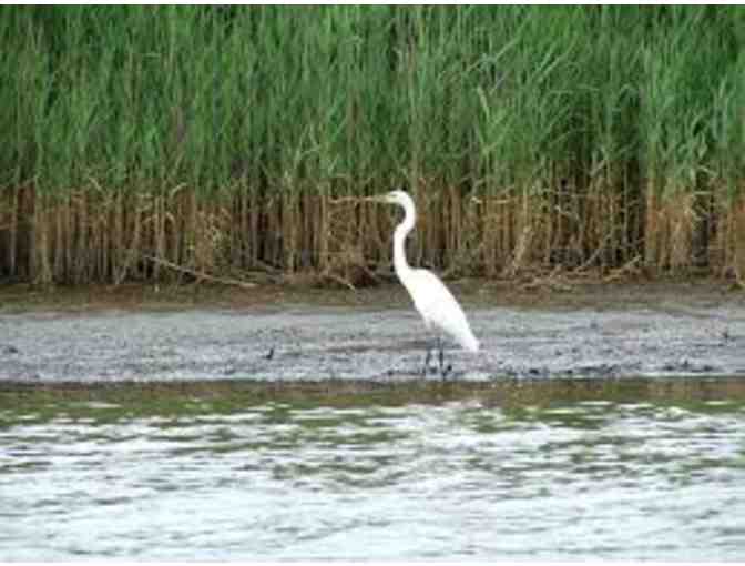 Ayers Creek Adventure