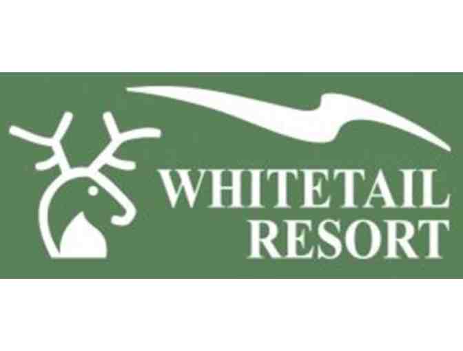 Whitetail Resort - Beginner Learn to Ski or Snowboard Package