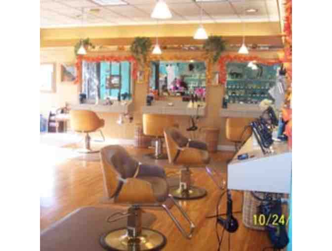 AMAL NICCOLI FULL SERVICE BEAUTY SALON: Over $200 Aveda Hair & Skin Care Spa Gift Basket!