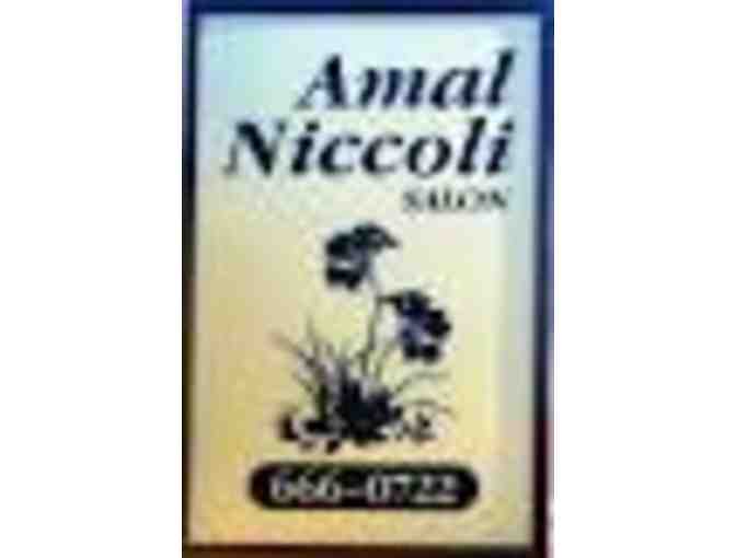 AMAL NICCOLI FULL SERVICE BEAUTY SALON: Over $200 Aveda Hair & Skin Care Spa Gift Basket!