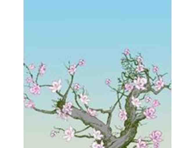 AMAL NICCOLI FULL SERVICE BEAUTY SALON: Over $200 Aveda Hair & Skin Care Spa Gift Basket!