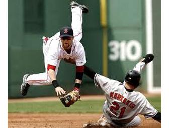 Baseball Autographed by Dustin Pedroia