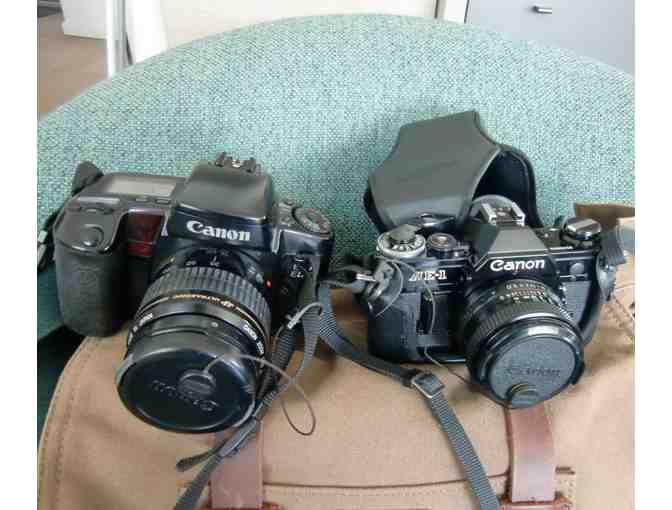 Canon Film Camera Collection with Vivitar Lenses, Kattee Bag