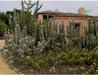 Lotusland Access and Book