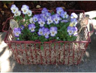 Flower Basket-a-Month