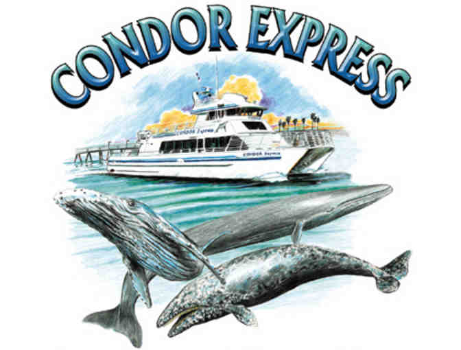 Condor Express - Whale Watching Trip for Two - Photo 1