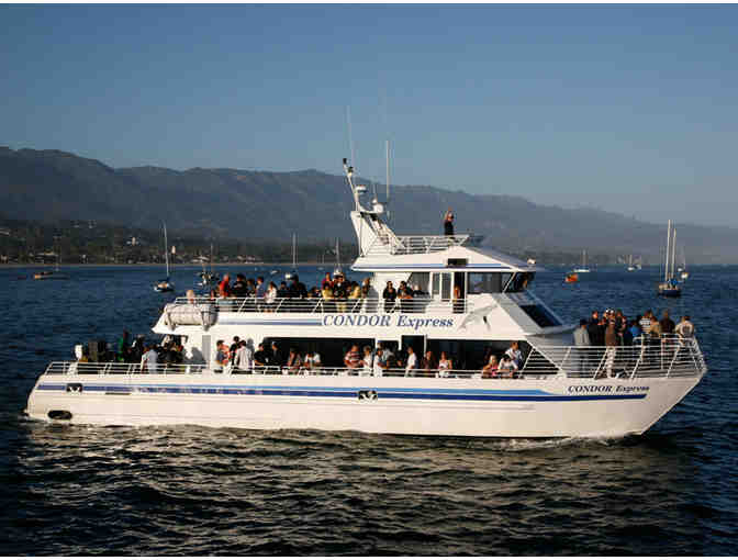 Condor Express - Whale Watching Trip for Two - Photo 2