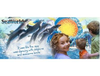 SFC Experience-One Week SFC Camp - SeaWorld (June) or Wood Shop (July)