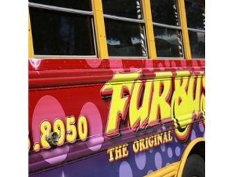 1st Grade Boys Fur Bus and Karate Imperatori Party