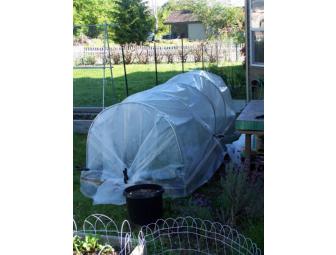 Garden Hoops by Hoopla