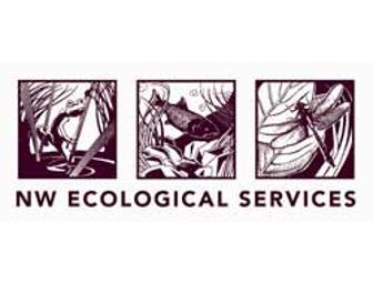 Native Landscaping Package including plants and rain barrel