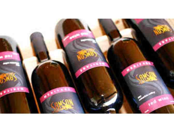 Tasting and Appetizer Pairing for Ten at Samson Estates Winery