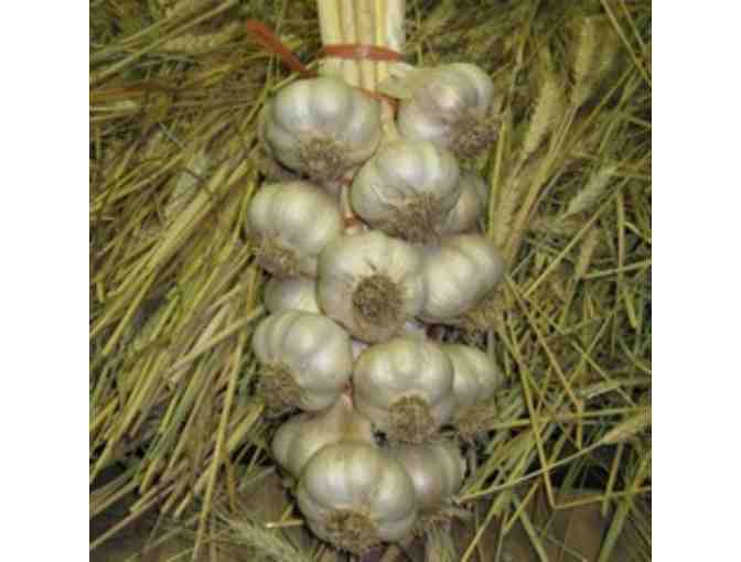 Bundle of Storage Garlic from Inspiration Farm