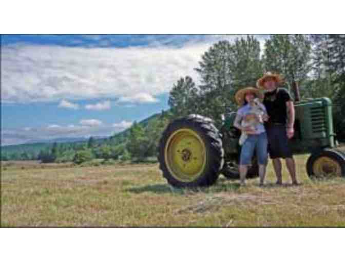 Eat, Create, Enjoy from The Carrot and Stick