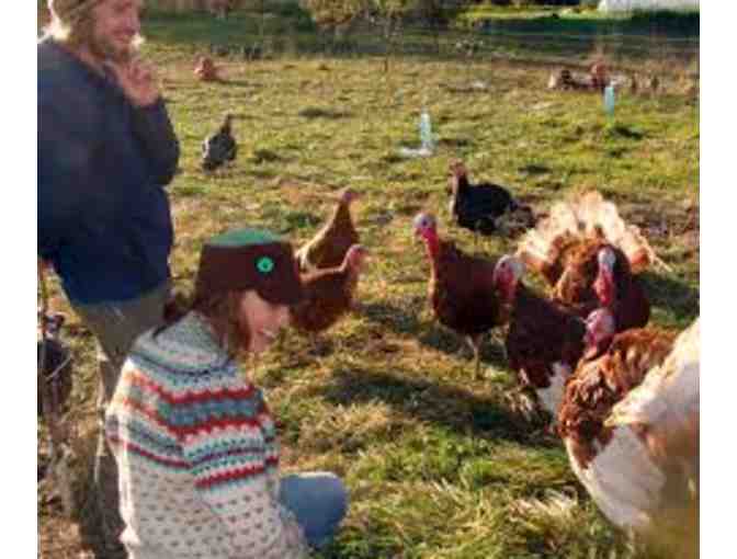 Osprey Hill Farm poultry, eggs & garlic