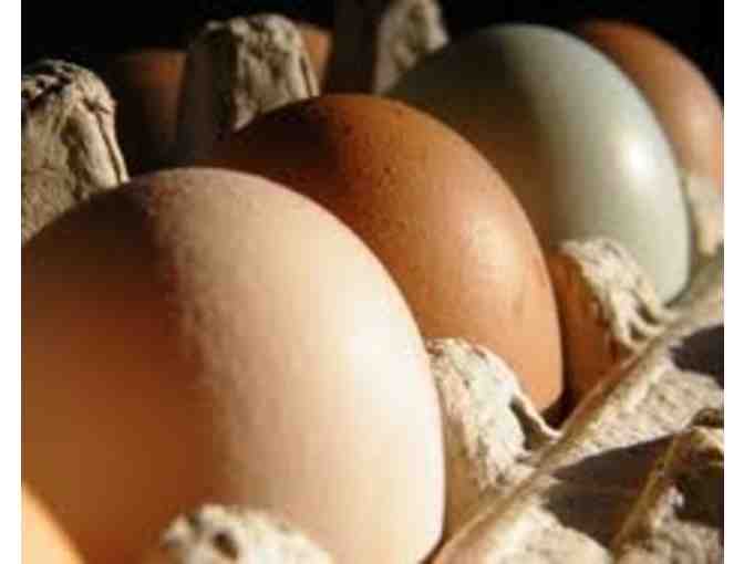 Osprey Hill Farm poultry, eggs & garlic