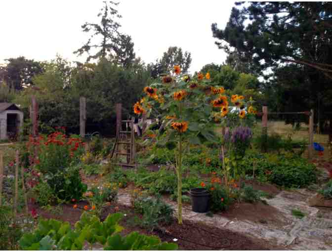 Join us for a Birchwood Grown Dinner with Chuckanut Builders, Ian and Jenny Rae