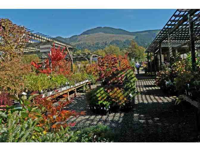 Pick your plants at Cloud Mountain Farm Center
