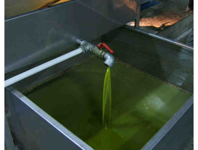 Farm Direct Extra Virgin Olive Oil from Dandelion Organic Delivery #2