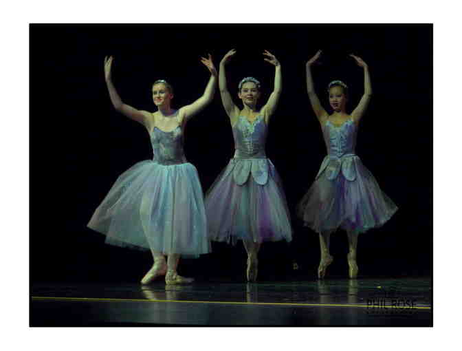 Location portrait/family photo shoot from Phil Rose Photography