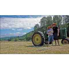 The Carrot and Stick