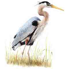 Heron Reach Counseling