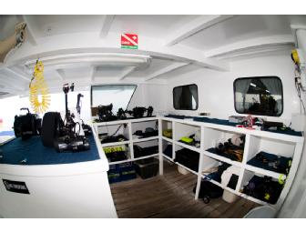 Spot #1 - SCUBA Expedition to Cocos Island - 13 Days - Shark Central