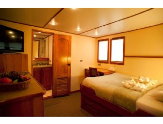 Spot # 4 - SCUBA Expedition to Cocos Island - 13 Days - Shark Central