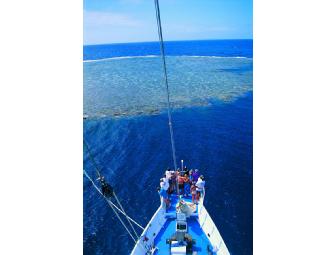 NAI'A Fiji- luxury live-aboard. You Choose Dates in 2013 Subject to Availability (1 space)