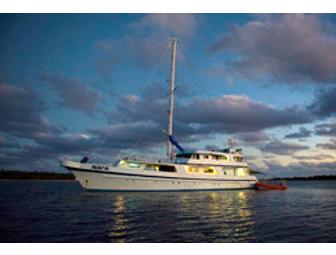 NAI'A Fiji- luxury live-aboard. You Choose Dates in 2013 Subject to Availability (1 space)