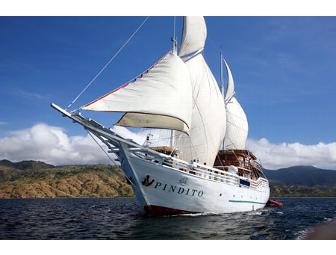 Komodo, Indonesia: Pindito Live-aboard (1 space) You Choose Dates-Subject to Availability