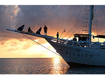 Komodo, Indonesia: Pindito Live-aboard (1 space) You Choose Dates-Subject to Availability