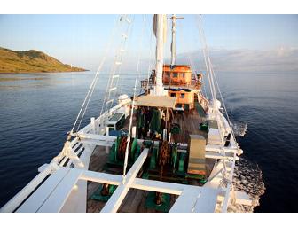 Komodo, Indonesia: Pindito Live-aboard (1 space) You Choose Dates-Subject to Availability