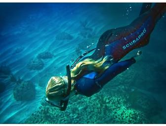 Bahamas - Bimini Bay Resort, 2 People 7 days / 6 nights.  Diving Included!
