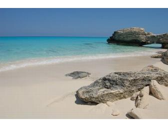 Bahamas - Bimini Bay Resort, 2 People 7 days / 6 nights.  Diving Included!