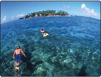 Fiji Diving and Luxury at Kadavu, Matava Resort, 8 day 7 nights (1 space)