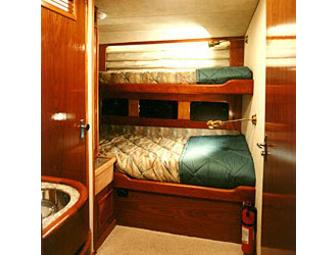 Socorro - Big Animal Central! SolmarV Live-Aboard (1 Space) Choose Date - Subject to Avail