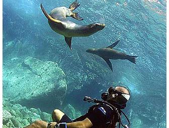 Socorro - Big Animal Central! SolmarV Live-Aboard (1 Space) Choose Date - Subject to Avail